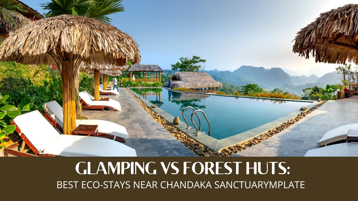 glamping near Chandaka, forest huts in Odisha, eco stays Chandaka Sanctuary, jungle camping Bhubaneswar, Chandaka wildlife accommodation,