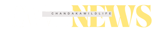 chandakawildlife.in